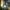 RoboCop: Rogue City - Unfinished Business najtaniej pre-order | Newsy - PlanetaGracza