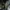 Resident Evil Requiem przywróciło miłość do serii | Newsy - PlanetaGracza