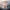 Data premiery i nowy zwiastun Anno 117: Pax Romana