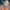 The Outer Worlds 2 z datą premiery. Zwiastun zapowiada solidny sequel