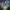 Gra za darmo na Steam rajem dla fanów Tomb Raider | Newsy - PlanetaGracza