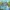 Gra za darmo na Steam. Tower defense