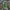 Xbox Game Pass może dostać nowe subskrypcje