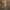 Bard Idle - screen z gry, która dzisiaj ma darmową premierę na Steam.