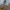 StarRupture to nowy polski survival, który zachęca premierową ceną na Steam