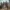 Assassin’s Creed 4: Black Flag Remake – plotka o oknie premiery
