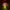 Bulb Boy – gra za darmo na Steam. Horror z Polski