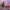 GTA Online za darmo na PS5 i Xbox Series | Newsy - PlanetaGracza