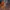 Divinity: Original Sin 2 z darmowym DLC jako prezent