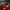 Screen z darmowej gry na Steam - Rally Evolution 2025. W kadrze sportowe auto rally. Screen obrazuje tekst z 6 premierami free to play z serii Evolution 2025.