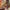 Gra za darmo na Steam skusi fanów RPG i Runescape