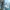 Assassin's Creed 4: Black Flag – remake ujawniony w bazie PEGI