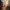 Dune: Awakening – prezent do odebrania za darmo na Steam