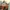 GTA: San Andreas The Nextgen Edition – zapowiedź modyfikacji
