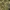 Age of Empires: Definitive Edition tanio w wersji Steam. Okazja