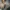 Battlefield 6 znów irytuje graczy – tym razem ścieżką BF Pro