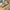Gra za darmo w Epic Games Store – Definitely Not A Fried Chicken
