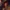 Fallout 76 do ogrania za darmo na PC i konsole przez tydzień