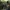 Remake Resident Evil – Code: Veronica w I połowie 2027 roku