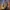 Lords of the Fallen 2 - wymagania PC i 