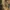Strange Brigade niemal jak za darmo. 8 zł zamiast 290 zł na Steam