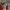 Xbox Game Pass ma hit z 97% pozytywnych ocen