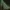 Helldivers 2 soldiers defending massive space barrier against alien Terminid threat